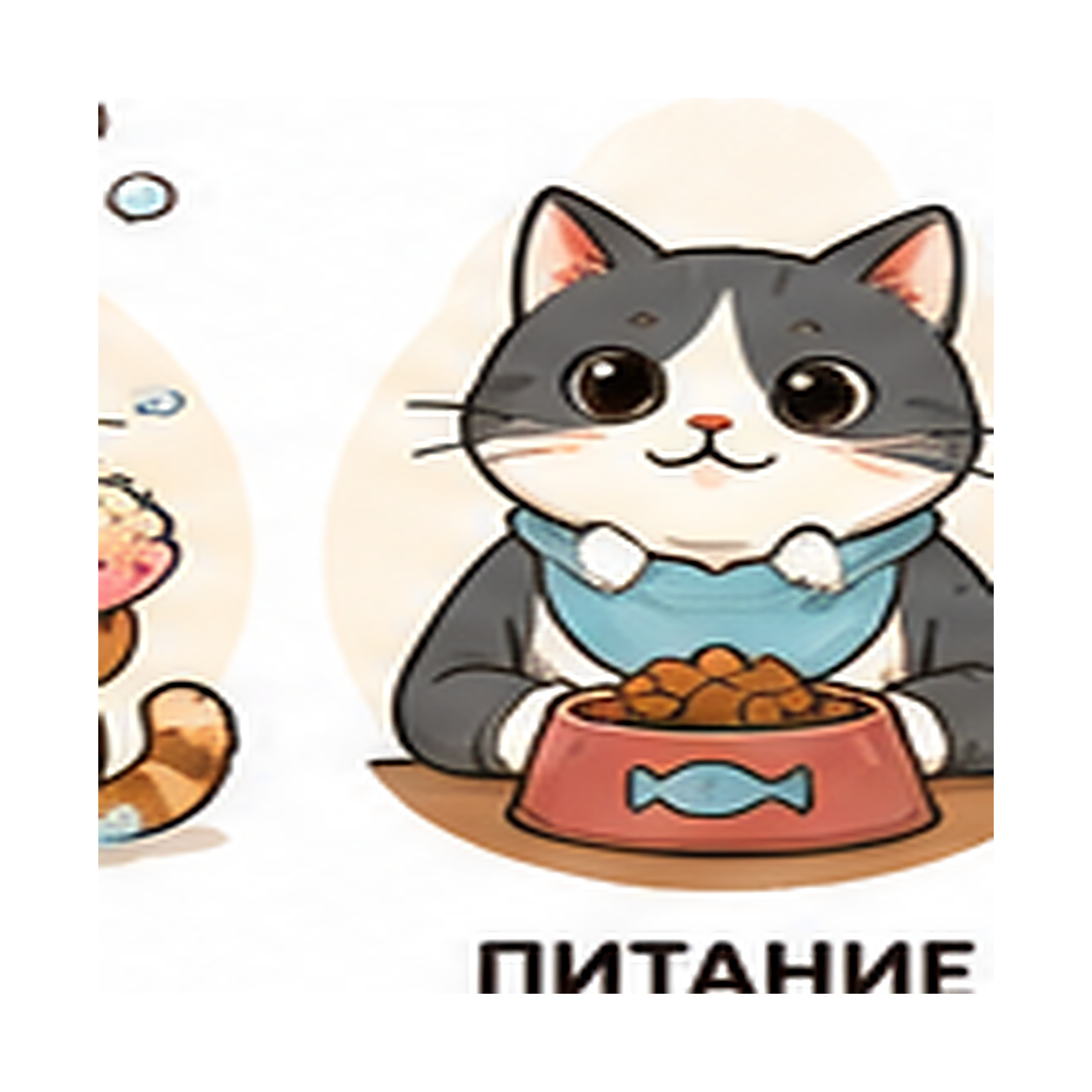 Питание